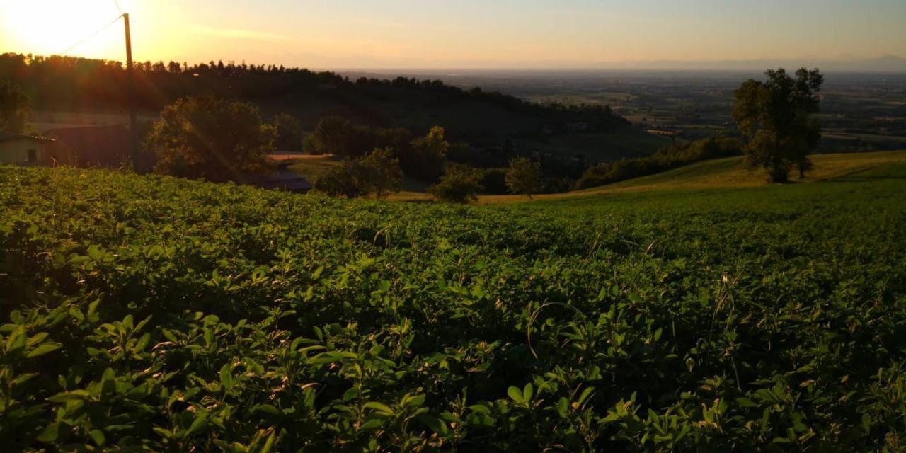 Vila Agriturismo Agronauta Piozzano Exteriér fotografie